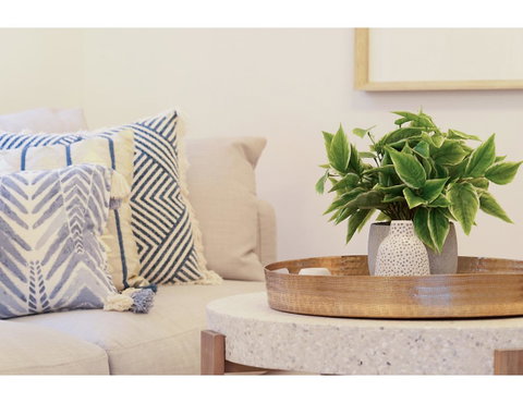 Huge Garden Apartment In The Heart Of Bondi Beach - Accommodation NSW 16