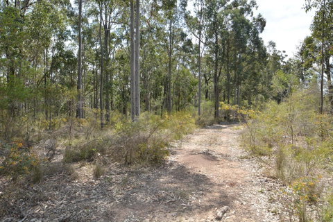 JE Guesthouse, Central To All The Hunter Valley Has To Offer - Accommodation NSW 44