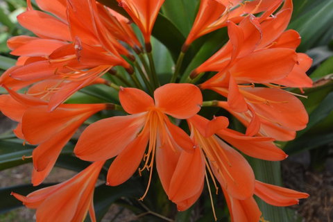 JE Guesthouse, Central To All The Hunter Valley Has To Offer - Accommodation NSW 39