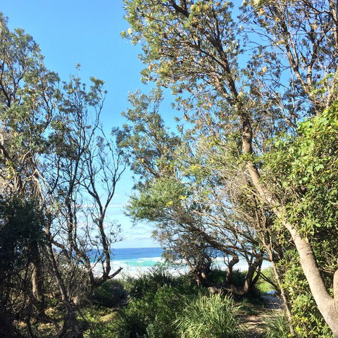 Salthouse Berrara - Accommodation NSW 22