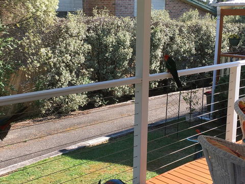 The Best Exotic Magnolia Cottage - Accommodation NSW 15
