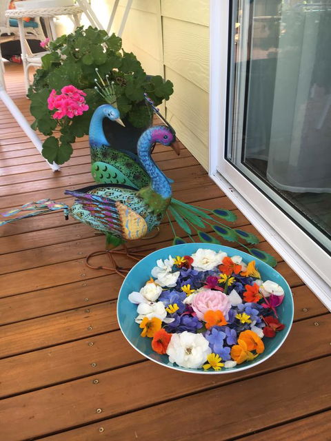 The Best Exotic Magnolia Cottage - Accommodation NSW 8