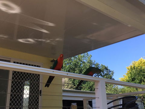 The Best Exotic Magnolia Cottage - Accommodation NSW 11