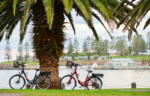 Belle Vue- Penthouse At Black Beach - Accommodation NSW 8