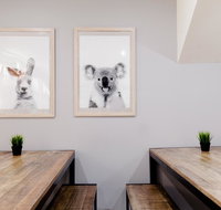Mad Monkey Backpackers on Broadway - Accommodation NSW