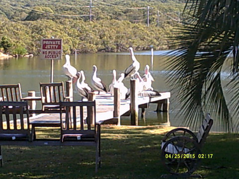 Pelican H2O One & Two Bedroom Apartments - Accommodation NSW 9