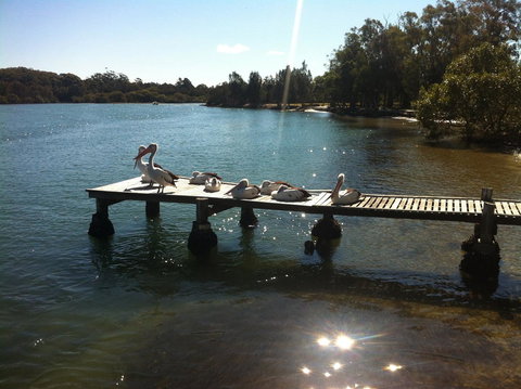 Pelican H2O One & Two Bedroom Apartments - Accommodation NSW 5