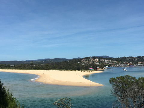 Black Dolphin Resort Motel & Apartments - Accommodation NSW 7