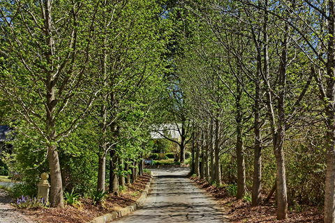 Bundanoon Lodge - Accommodation NSW 12