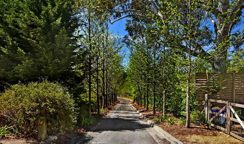 Bundanoon Lodge - Accommodation NSW 21