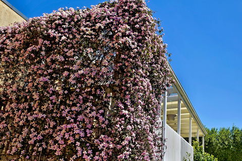 Bundanoon Lodge - Accommodation NSW 13