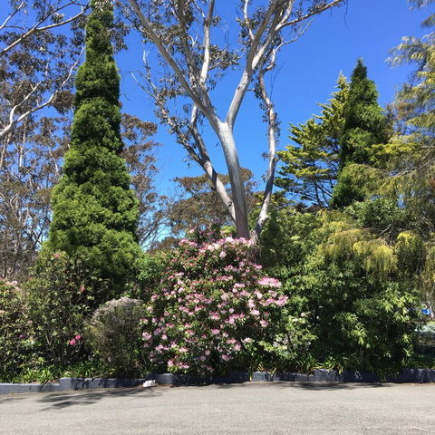 Sky Rider Motor Inn - Accommodation NSW 32