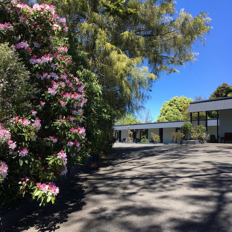 Sky Rider Motor Inn - Accommodation NSW 24