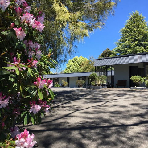 Sky Rider Motor Inn - Accommodation NSW 14