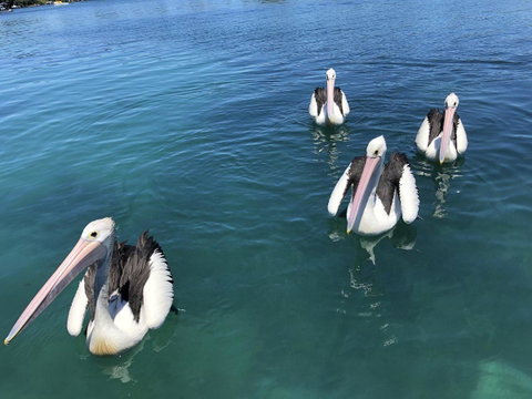 Aquarius 9 - Accommodation NSW 4