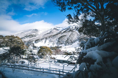 Pure Chalet Thredbo - Accommodation NSW 31