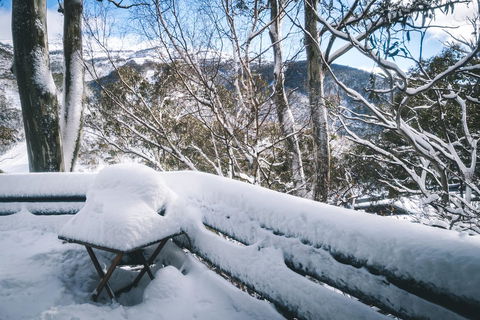 Pure Chalet Thredbo - Accommodation NSW 19
