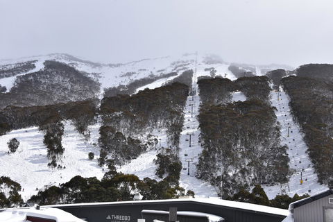 Pure Chalet Thredbo - Accommodation NSW 6
