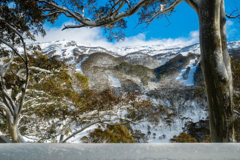 Pure Chalet Thredbo - Accommodation NSW 17