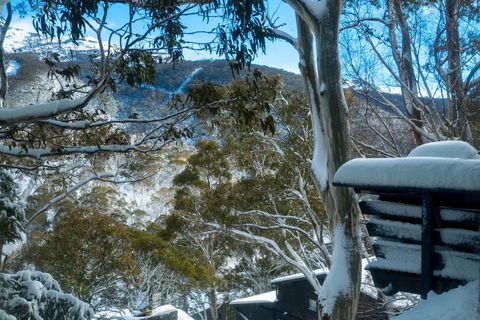 Pure Chalet Thredbo - Accommodation NSW 30