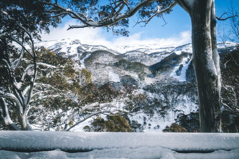 Pure Chalet Thredbo - Accommodation NSW 2