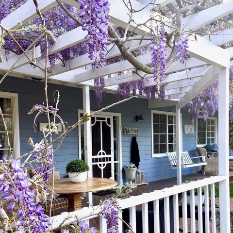 Bowral Escape - Accommodation NSW 1