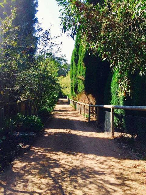 Bowral Escape - Accommodation NSW 24
