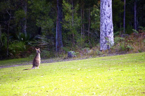 Jackson Ranch By Bannisters - Accommodation NSW 31