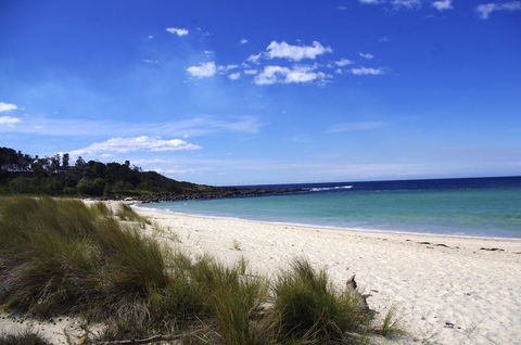 Jackson Ranch By Bannisters - Accommodation NSW 32
