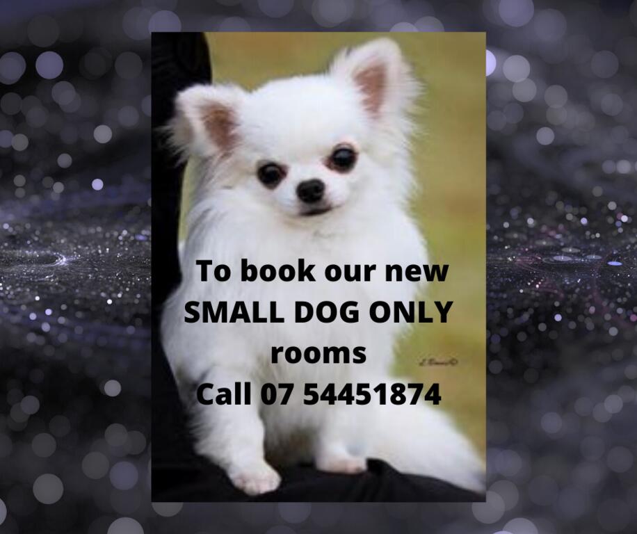 Tanawha QLD Accommodation NSW