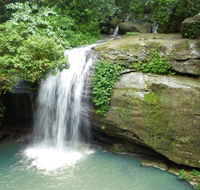 Buderim Forest Hideaway - Accommodation NSW