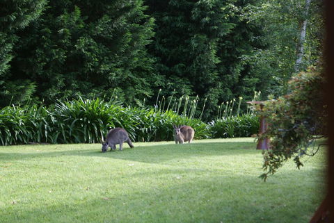 Bundanoon @2578 - Accommodation NSW 0