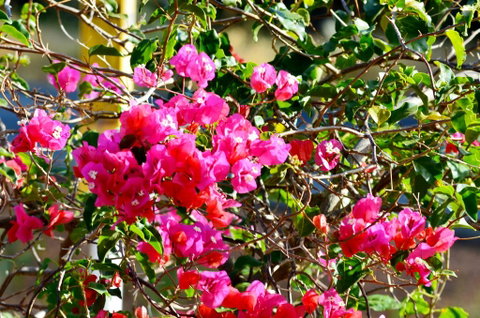 Caves Road Chalets - Accommodation NSW 1