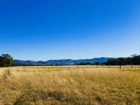 Charlotte Tiny House - Accommodation NSW 2