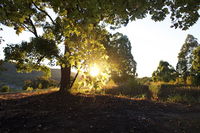 Book Possum Brush Accommodation Vacations Accommodation NSW Accommodation NSW