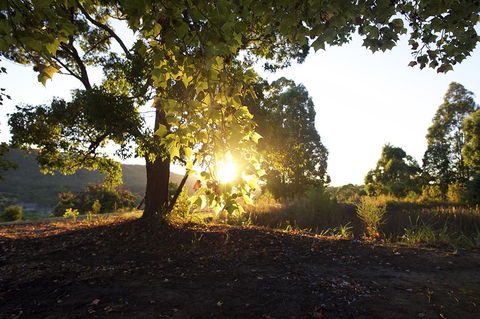 Clarendon Forest Retreat - Accommodation NSW 0