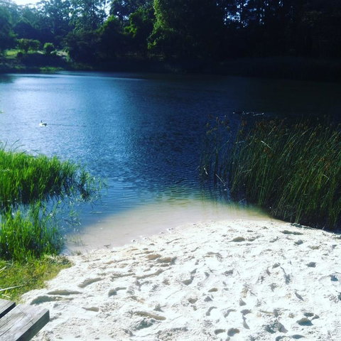 Cloudlake Mountain Retreat - Accommodation NSW 3