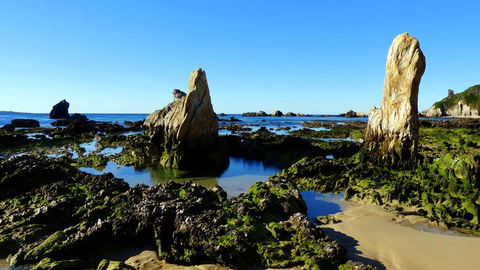 Coastal Comfort Motel - Accommodation NSW 3