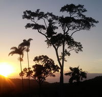 Daintree Holiday Homes - Yurara - Accommodation NSW