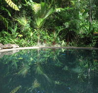 Daintree Rainforest Retreat Motel - Accommodation NSW