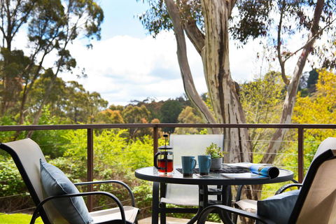 Daylesford Spa Villa 6 - Accommodation NSW 2