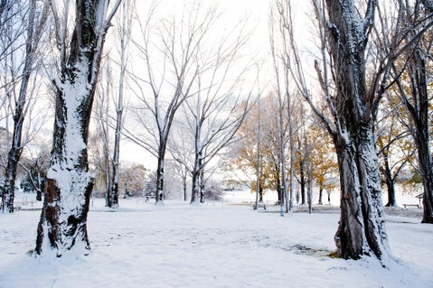 Discovery Parks - Jindabyne - Accommodation NSW 3