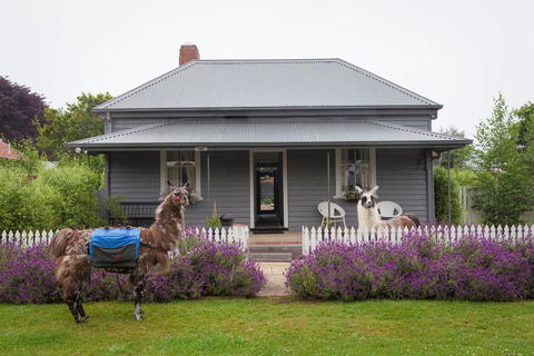 Domino House - Accommodation NSW 0