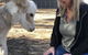 Donkey Tales Farm Cottages - thumb 1