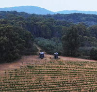 Double Oaks Tiny House - Accommodation NSW