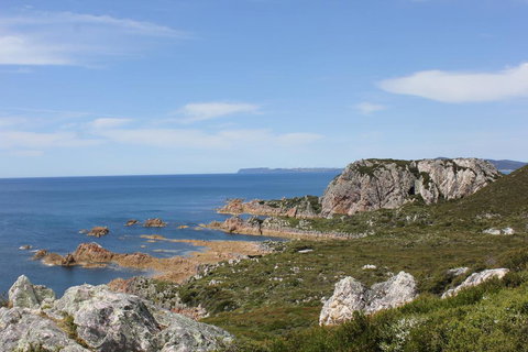 Eagle's Roost Farmstay B&B - Accommodation NSW 3