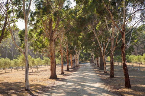 East Wing - Accommodation NSW 2