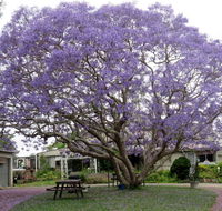 Ecotel Narooma - Accommodation NSW