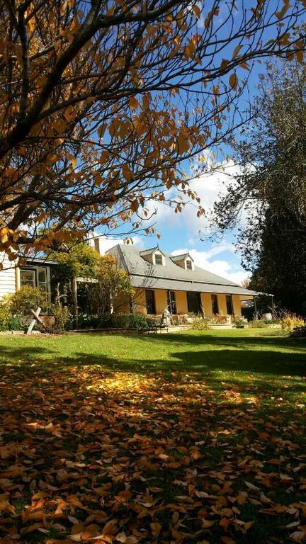 Eling Forest Winery - Accommodation NSW 3