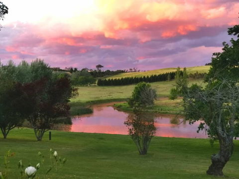 Eling Forest Winery - Accommodation NSW 0